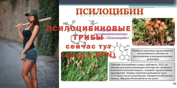 СК Алзамай