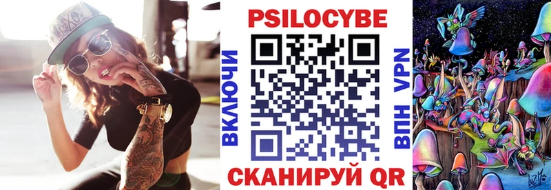 Псилоцибиновые грибы Psilocybine cubensis  купить   Никольское 